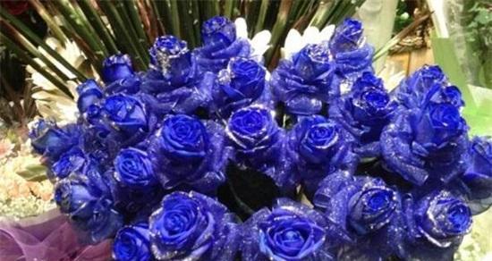蓝色玫瑰花语代表什么意思？如何正确解读蓝色玫瑰的含义？