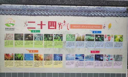 罗勒浇水频率如何根据季节调整？春夏秋冬浇水有何不同？