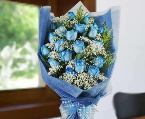 蓝色妖姬11朵代表什么意思？花语含义有哪些疑问解答？