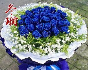 蓝色妖姬11朵代表什么意思？花语含义有哪些疑问解答？