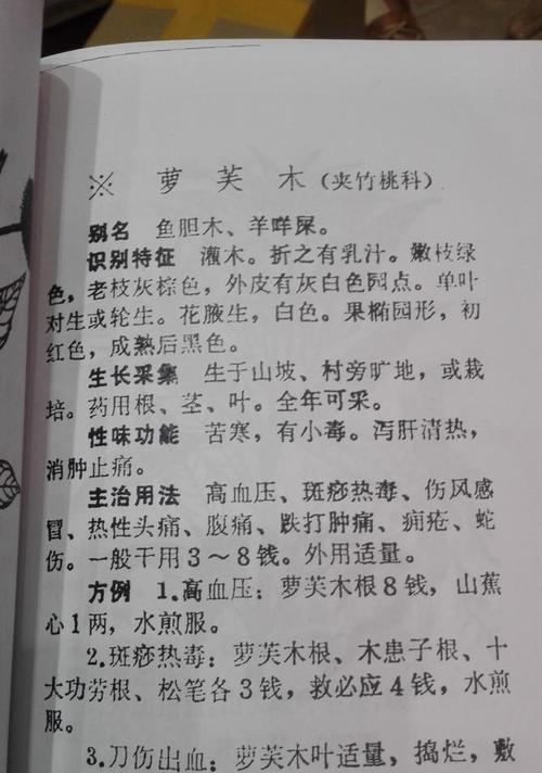 罗勒叶的功效与作用是什么？如何正确食用罗勒叶？