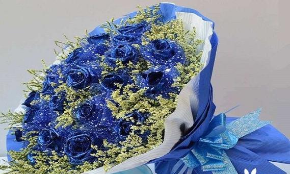 蓝色妖姬代表什么？花语含义及常见问题解答？