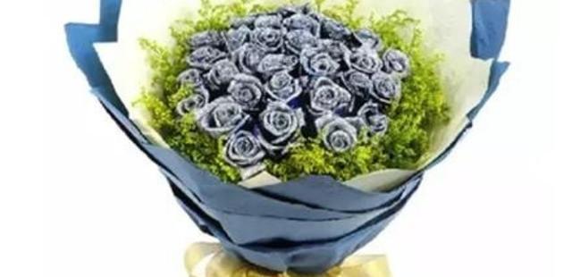 蓝色妖姬代表什么寓意？花语背后的故事是什么？