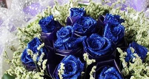 蓝色妖姬玫瑰花的花语是什么？购买时需要注意什么？
