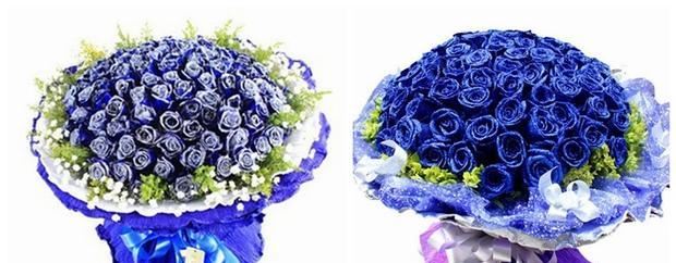 蓝色妖姬玫瑰花花语是什么？如何表达爱意？