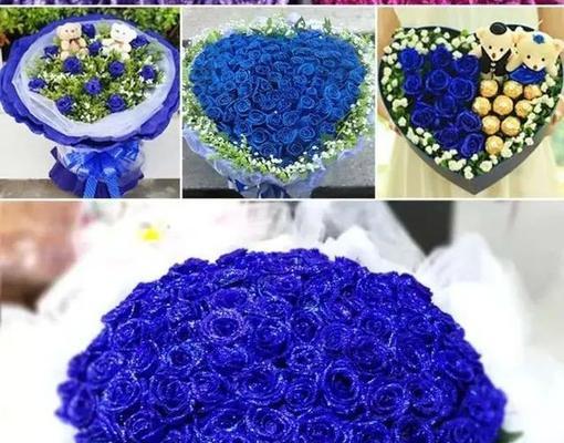 蓝色妖姬花语是什么？购买时应注意哪些问题？
