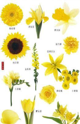 落新妇一年开几次花？花期在哪些月份？