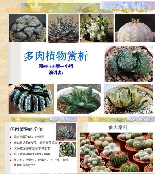 洛神多肉怎么养？养殖过程中应注意哪些问题？