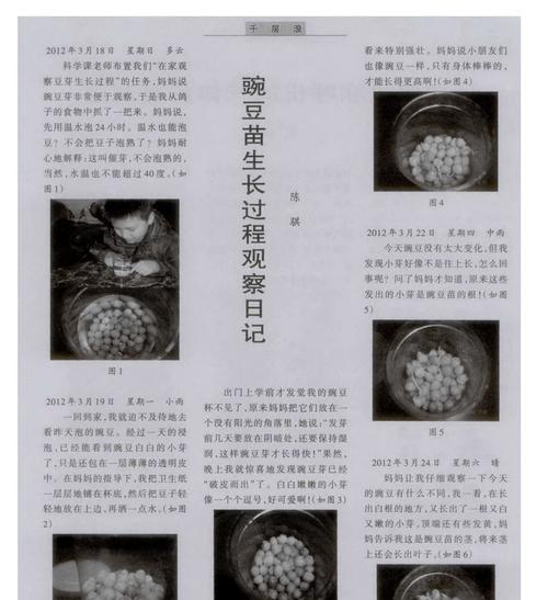 麻豌豆种植的最佳时间和方法是什么？