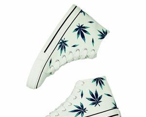 麻油叶属于什么植物类别？它的特点和用途有哪些？