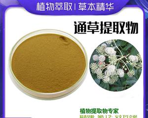麻油叶属于什么植物类别？它的特点和用途有哪些？