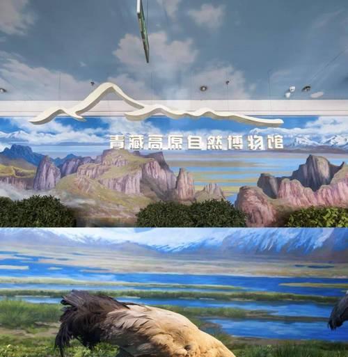 古生代有哪些独特的植物和动物矿物？它们的特点是什么？