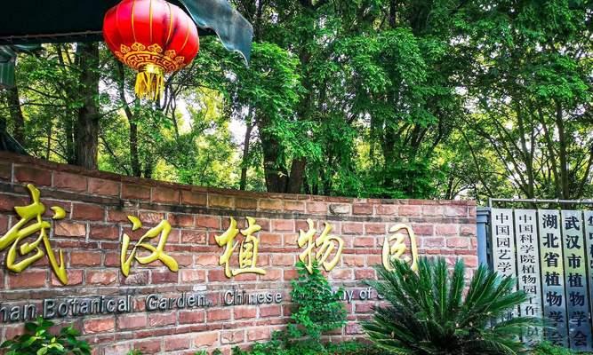 植物园的主要功能和作用是什么？