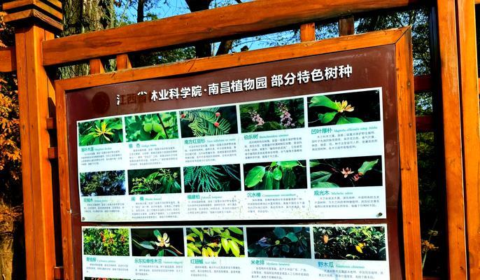 植物园的主要功能和作用是什么？