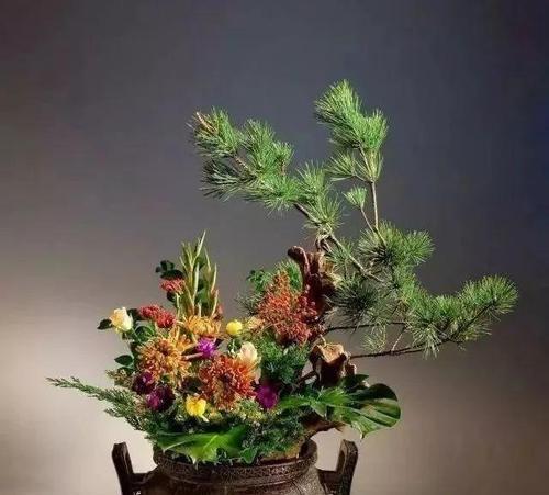 西周时期生长的花卉有哪些？它们的特性是什么？
