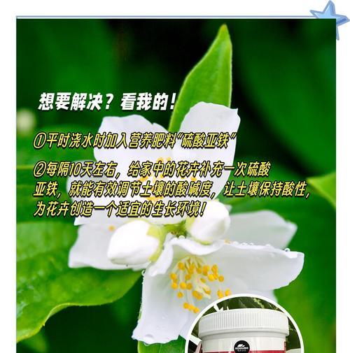 植物黄油出现后应该怎么办？有哪些处理方法？