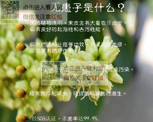 田七植物精油皂的使用效果如何？它适合哪些人群使用？