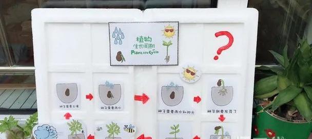 植物生长需要哪些资源？这些资源对植物生长有何重要性？
