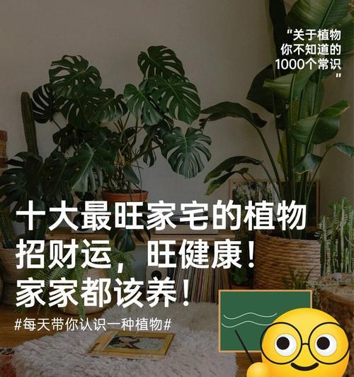 家门口种植哪些植物能带来好运？