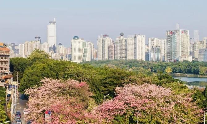南宁花卉什么时候开放？最佳观赏期是什么时候？