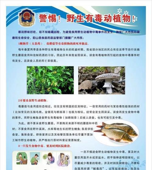 如何避免触碰到有毒植物？遇到后应如何处理？