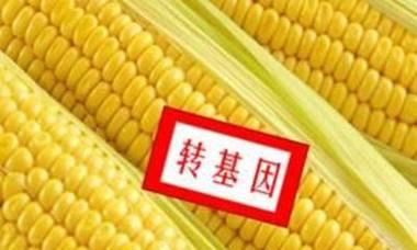 目前有哪些植物是限制进口的？限制进口的原因是什么？