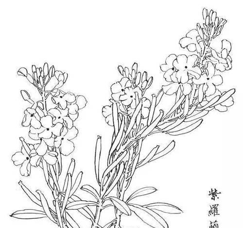 元代白描花卉的图文解释有哪些？如何理解这些花卉的含义？