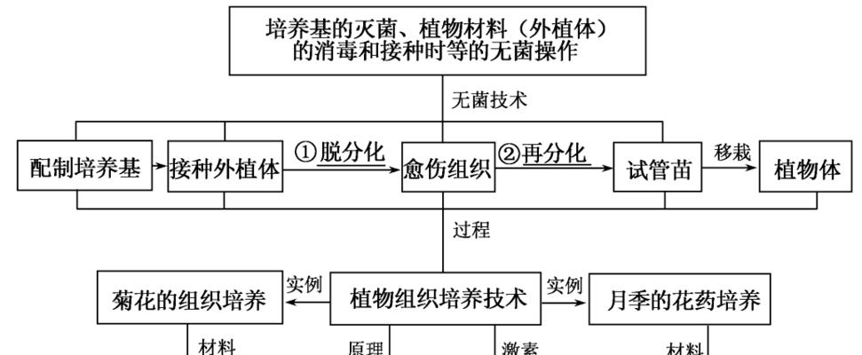 迭代最快的植物是什么？如何快速识别植物的迭代速度？