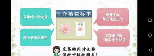 迭代最快的植物是什么？如何快速识别植物的迭代速度？