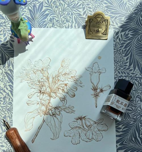 类似青色的蒜的花卉有哪些？这些花卉的养护方法是什么？