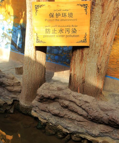 植物被水淹后如何恢复生机？有哪些有效的抢救措施？