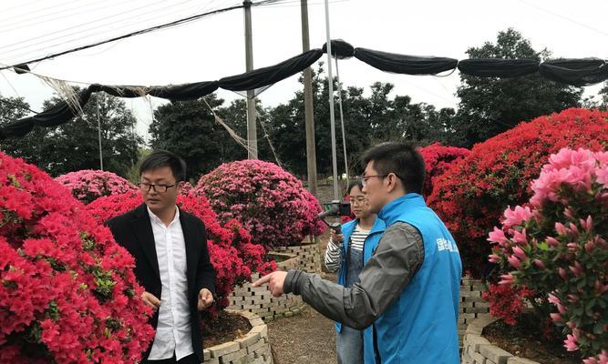 直播花卉应该用什么相机？选择直播花卉相机的要点是什么？