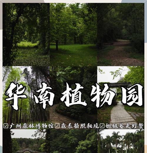 植物园通常有哪些特色？参观植物园需要注意什么？