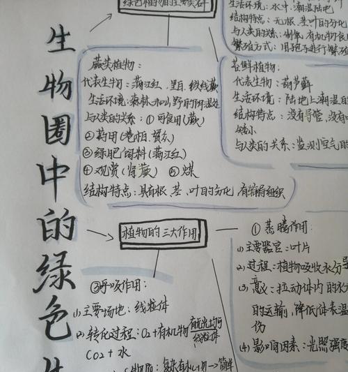 植物怎么画生物？绘制植物生物图有哪些技巧？