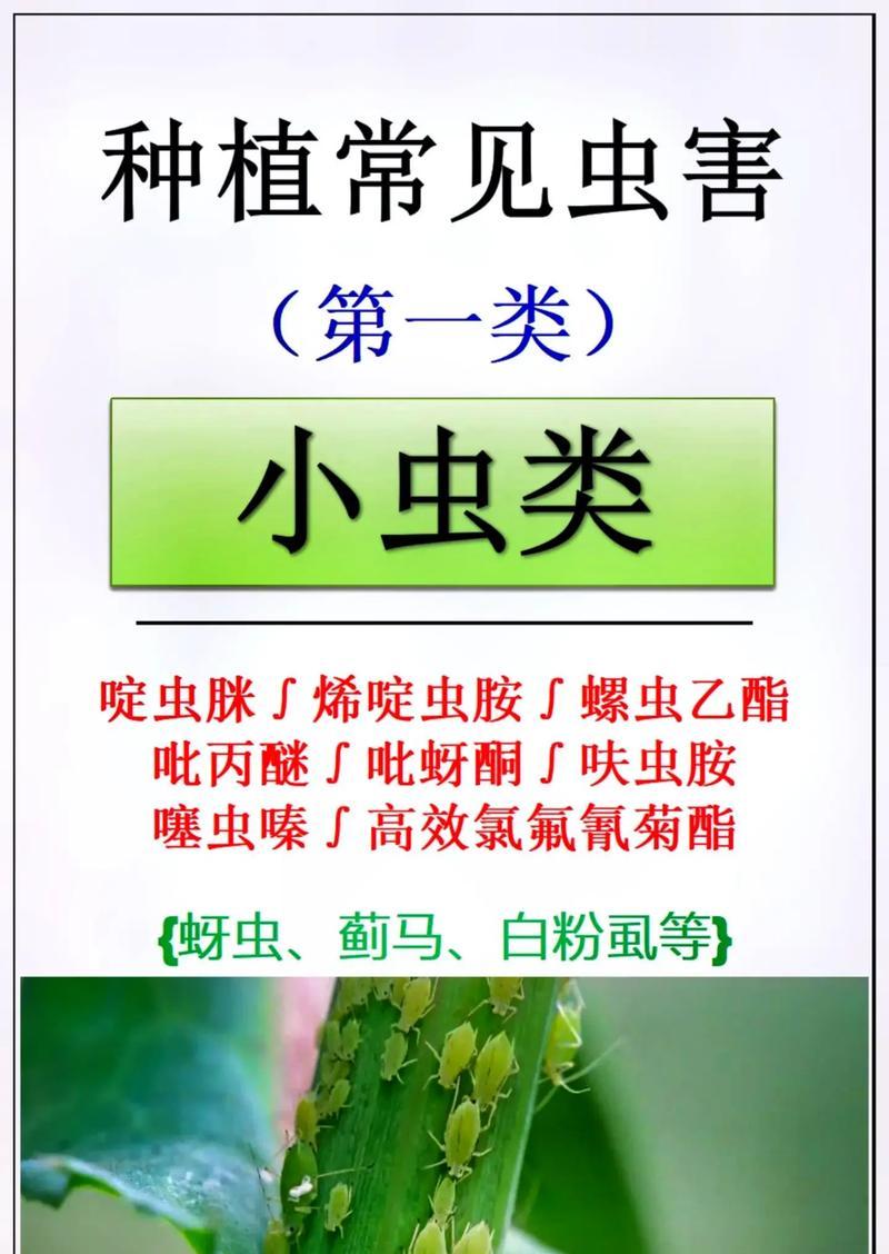 植物常见的害虫有哪些？