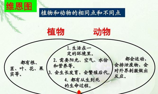 丰荣植物的特点是什么？适合在哪些环境中生长？