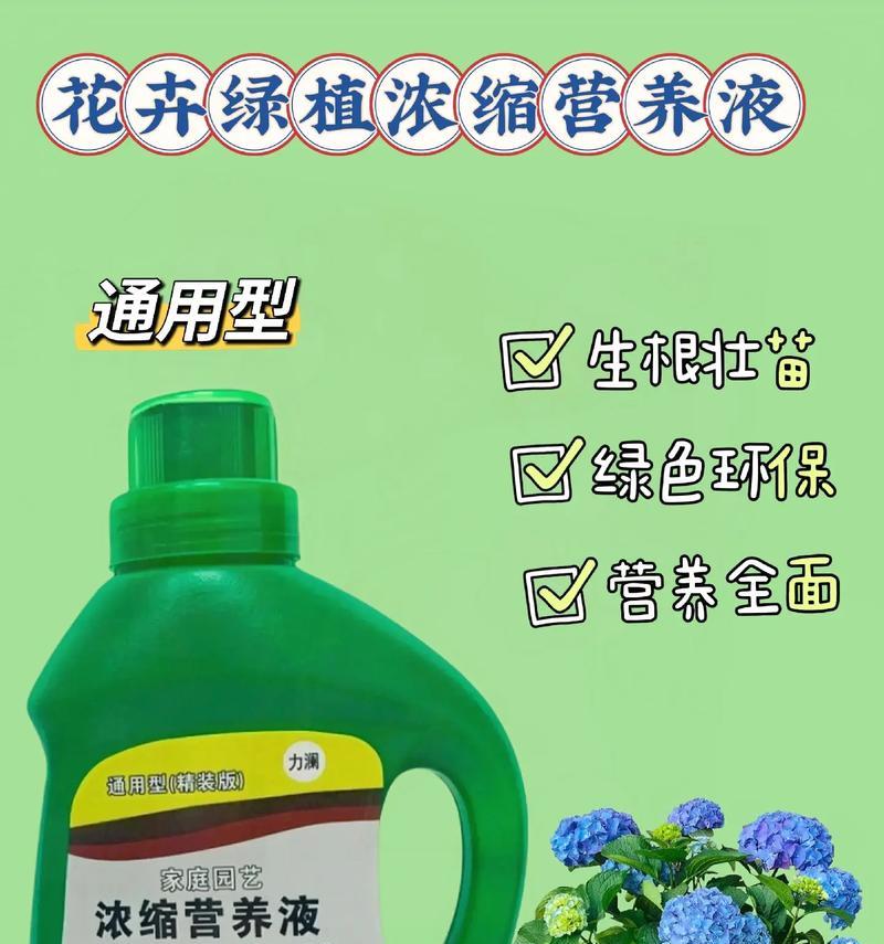 南方花卉在插花艺术中有哪些应用？南方花卉的特点是什么？