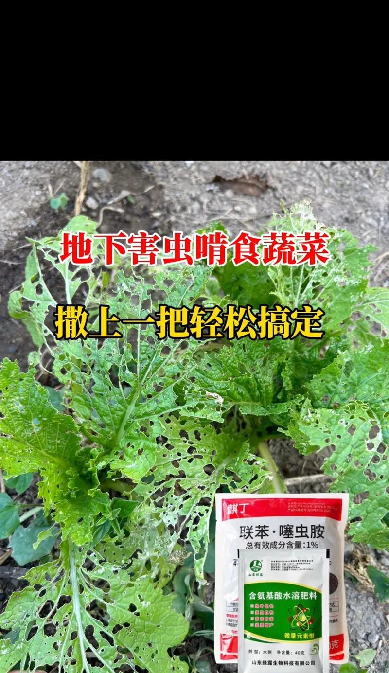 花卉病虫害防治常用的喷剂有哪些？效果如何？