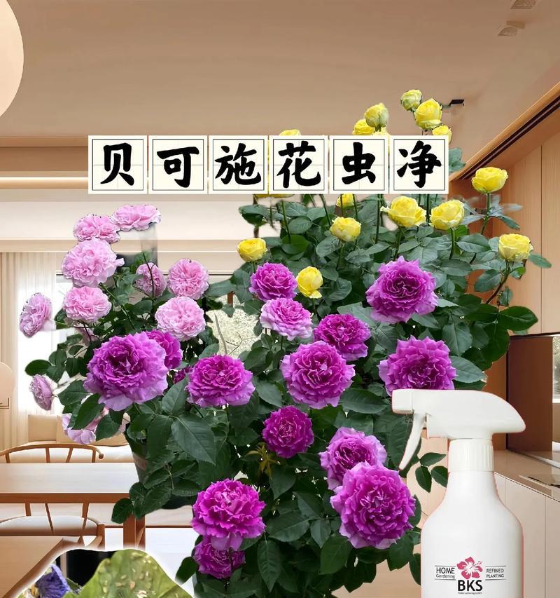 花卉病虫害防治常用的喷剂有哪些？效果如何？