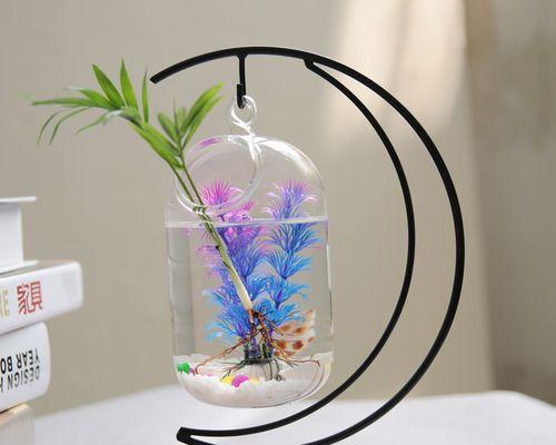 生态缸植物盆怎么悬挂？有哪些方法和技巧？