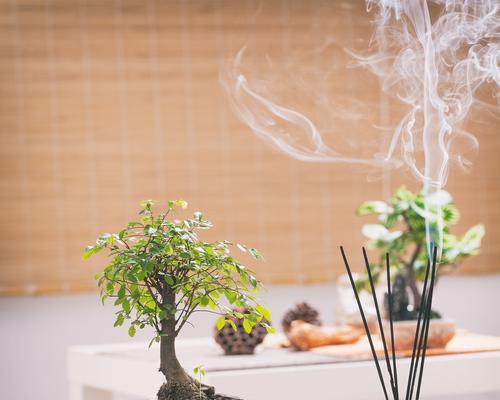 生态缸植物盆怎么悬挂？有哪些方法和技巧？