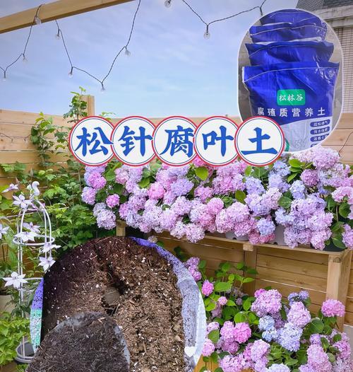 植物土壤松土的正确方法是什么？多久进行一次松土？