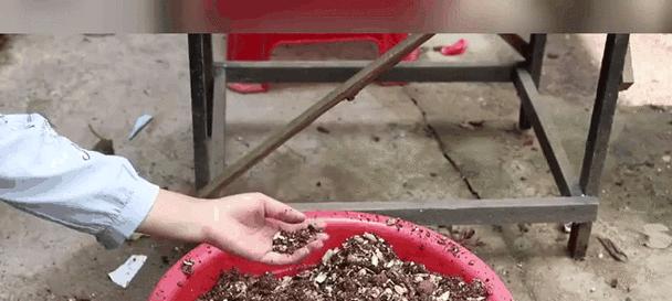 植物土壤松土的正确方法是什么？多久进行一次松土？