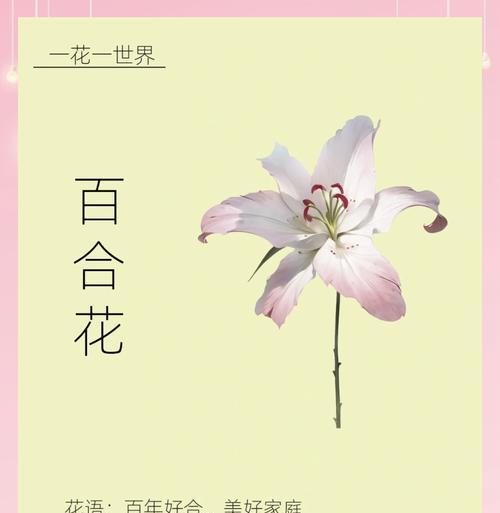 百合厨是哪种含义？