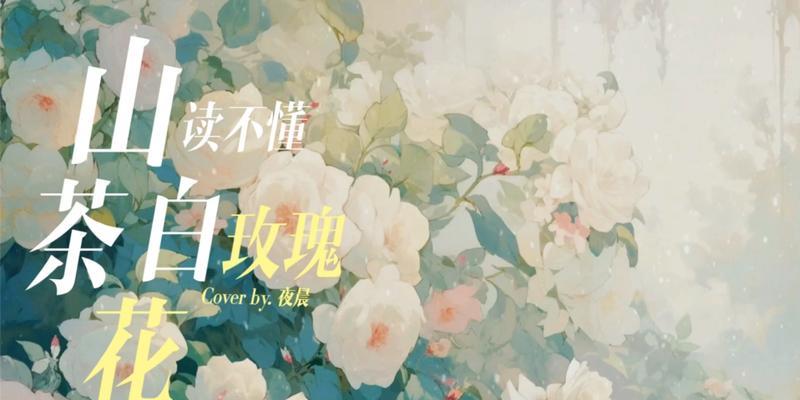 三茶看不懂白玫瑰什么意思？这个表达的含义是什么？