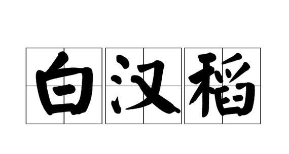水稻的拼音读音有何特殊含义？