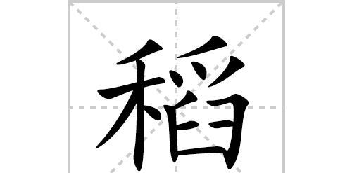水稻的拼音读音有何特殊含义？