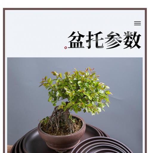 盆栽底座的含义是什么？