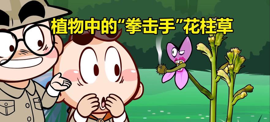 “植物不打”是什么意思？这个表达在园艺中指什么？
