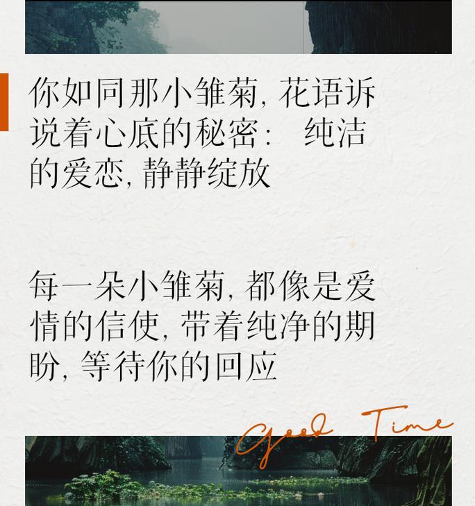 小雏菊代表的花语有哪些？
